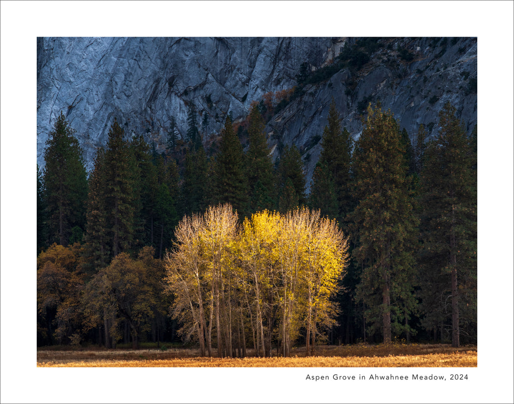 The Yosemite 2027 Calendar